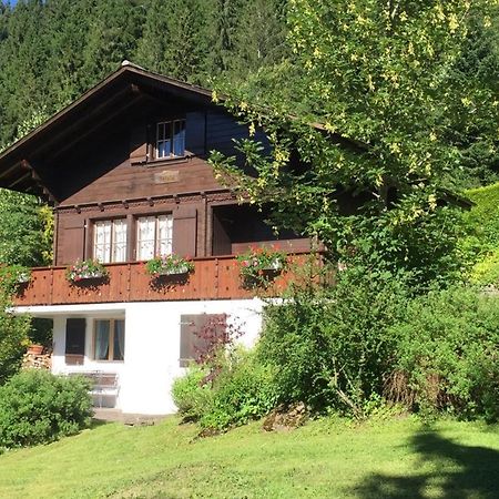 Ferienwohnung Betula 배드슈바르츠제 외부 사진