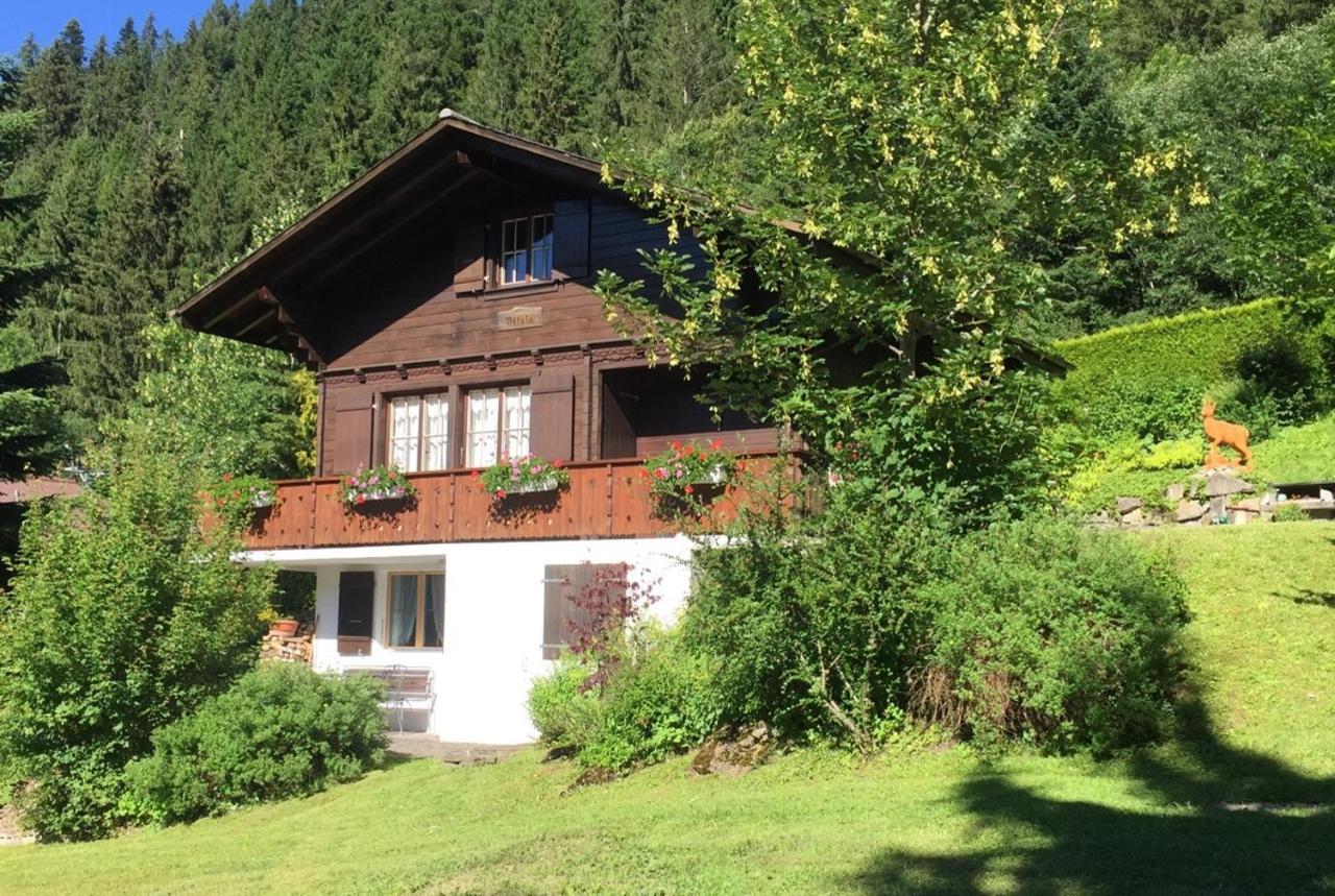 Ferienwohnung Betula 배드슈바르츠제 외부 사진